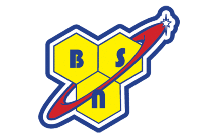 Bsn logo