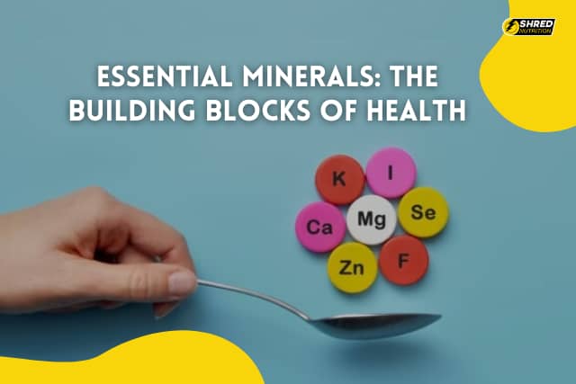 Essential minerals the building blocks of health